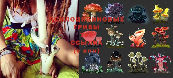 винт Надым
