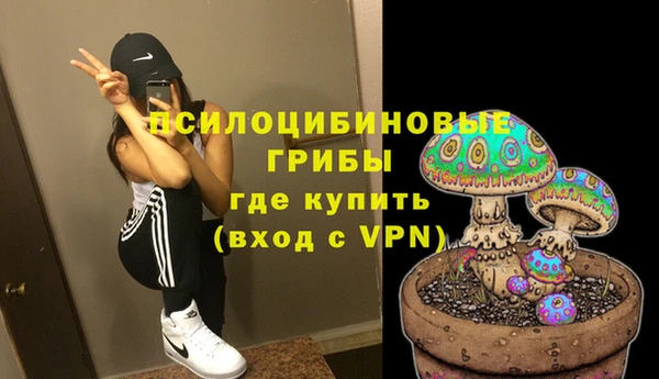 винт Надым