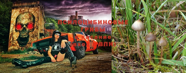 винт Надым