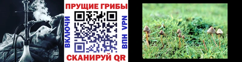 Псилоцибиновые грибы ЛСД  Торопец 